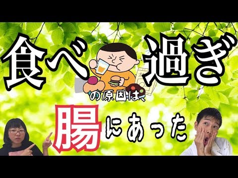 フルーツで食べ過ぎを防ぐ！食べ過ぎの原因は、腸にあった！食欲の秋♫暴飲暴食を防ぐ食べ物とは？