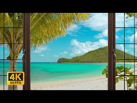 4K Tropical Beach window view in the Caribbean - Palm Trees, Ocean Sounds, Waves, White Noise