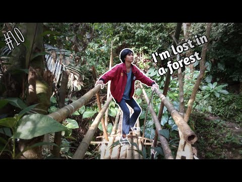 Adventure To An Unknown Forest | Ani-Movie #10