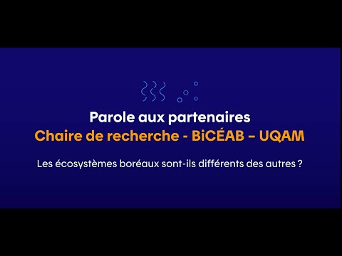 Les écosystèmes boréaux sont-ils différents des autres?