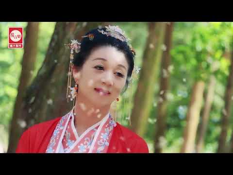 一剪梅 - 杨庆 2024 新专辑 Vol 13 选曲