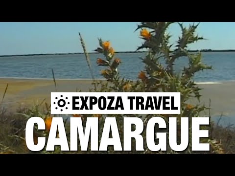 Camargue (France) Vacation Travel Video Guide