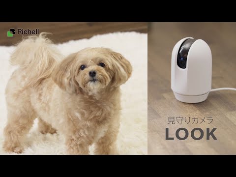 見守りカメラ LOOK｜お留守番ペットをスマホでチェック！【リッチェル公式 ペット用品】