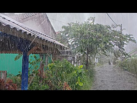 Heavy rain and strong winds in my village | very quiet, Sleep instantly with the sound of heavy rain