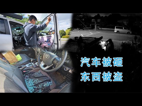 车被砸，东西被盗(新西兰 Harold Vlog 880)