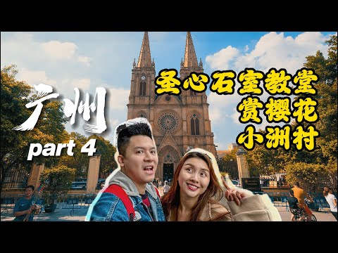 Andy去广州🇨🇳 - 广州也能赏樱花？！Guangzhou Part 4.