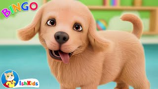 BINGO | Nursery Rhymes & Kids Songs | IshKids | Version 2