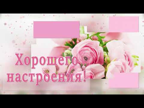 🌿💝Доброго дня! Хорошего настроения! Позитива!!!🌿💝 4К Красивое анимационное пожелание