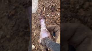 some bottle I found bottle digging #bottledigging #shorts