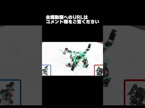 【ロボット格闘技】 Humanoid robot battle "ROBO FIGHT 26 [Light Class]" / Harpuia VS Black Thunder #Shorts