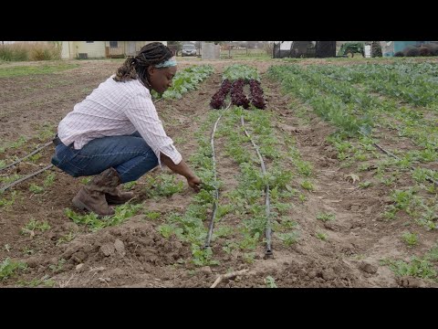 The Value of Farming with Community: Terra Preta Farm | Edinburg, TX