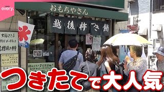 【繁盛】週末500個売れるおもちがおいしい和菓子屋さん!子どもにもうれしい「街でウワサの人気店」『every.特集』