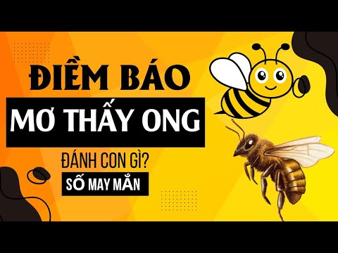 Mơ thấy ong mang ý nghĩa gì, đánh con số nào may mắn | Giải mã giấc mơ