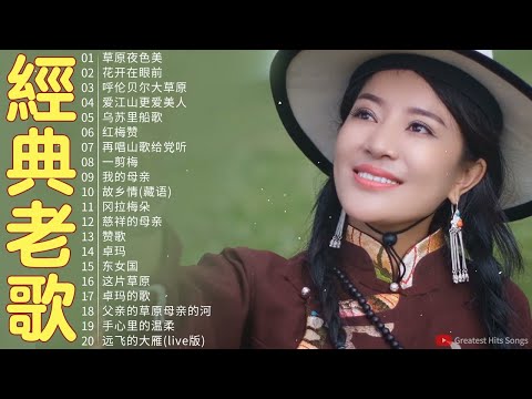 【经典老歌】草原夜色美／花开在眼前／呼伦贝尔大草原／爱江山更爱美人／乌苏里船歌 | 80、90年代经典老歌尽在 The Nice Tibetan Chinese songs