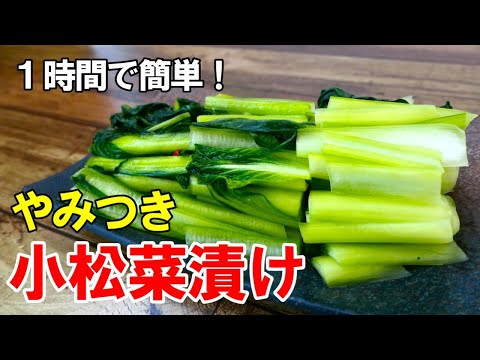 『自家製 小松菜漬け！』☆まるで野沢菜漬け！？1時間で作れる無限漬物！☆