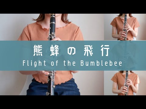 【超絶技巧】二万円のC管クラリネットで『熊蜂の飛行』演奏してみた - Flight of the Bumblebee -