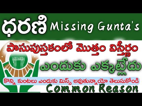 Missing Guntas in Telangana Pattadar Passbook Common Reason! Why Some Extent is Missing TS Passbook