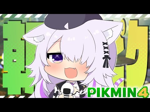 【ピクミン４】早起きしたので朝ピクミンですヨッ🌅#04【猫又おかゆ/ホロライブ】