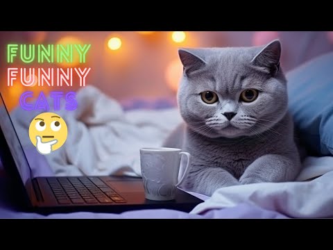 Funniest Cat Videos in The World😹Funny Cat Videos Compilation😺 Funny Cat Videos Try Not To Laugh #66