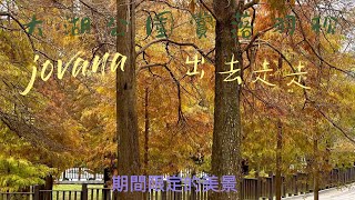 火車旅行|大湖公園|落羽松|錦帶橋|九曲橋|饗趣31義式景觀餐廳