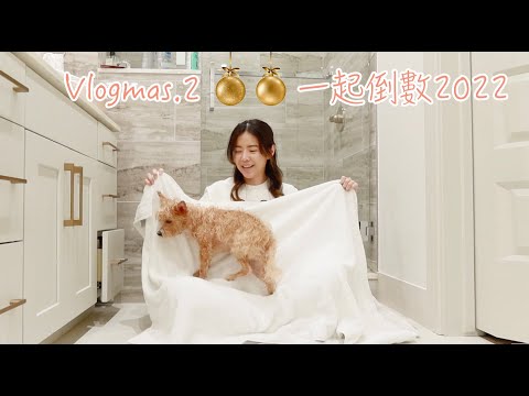 Vlogmas.2 一起倒數2022 | 保羅下廚做好喝的魚湯教學..結果....  | Celine C琳