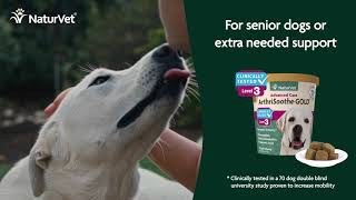 NaturVet Joint Health Pet Supplements