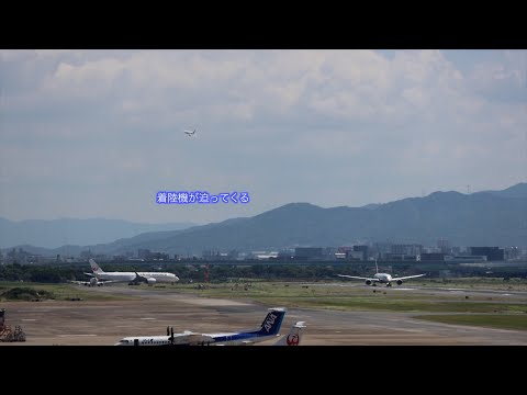 【凄いぞ福岡空港】離陸着陸！後ろが見える！ANA787-9国内線仕様が大集合！