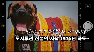 1974년 도사투견의 전설/ 전설의 시작 파도~ #fightingdog #dogfight #とさ #pitbull