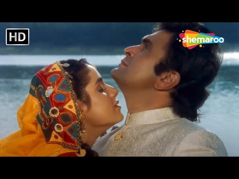 Mili Tere Pyar Ki Chhaanv | Kasak(1992) | Rishi Kapoor,Neelam Kothari | nuradha Paudwal | Kumar Sanu