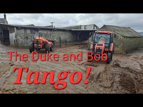 Duke n bob tango ... Zetor 3 scrapes Manitou Shovels