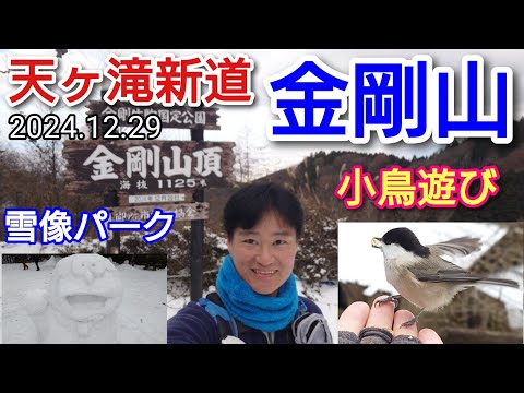 金剛山  天ヶ滝新道  雪像見学と小鳥遊び