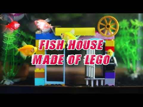 Fish house made of LEGO