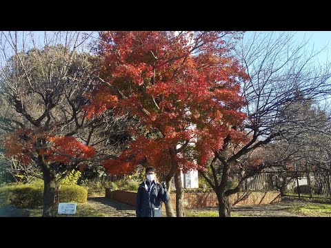 怜散歩 大宮公園 #さいたま市 #大宮公園 #travel #関東 #大宮アルディージャ #rb大宮アルディージャ