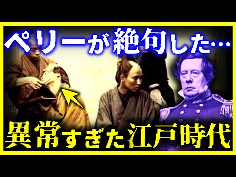 【ゆっくり解説】驚愕…ペリーがみた恐ろしい江戸時代の民族性