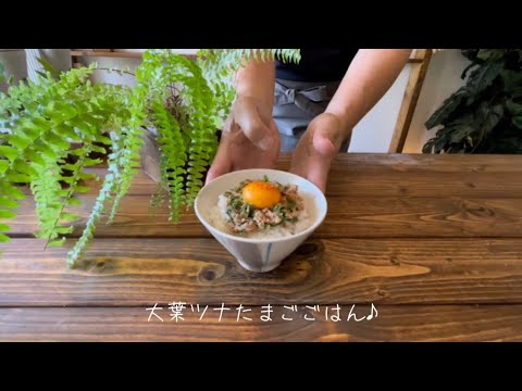 大葉ツナたまごごはん♪