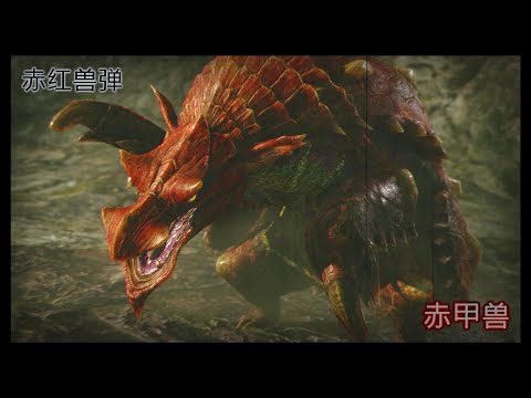 GGH |【怪物猎人:崛起】开荒31-村4星赤甲兽