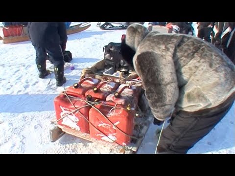 Inuit fitting the load of the snowmobiles - Penny Icecap 2009 expedition