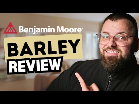 Benjamin Moore Barley 199 Color Review & Decorating Inspiration 2024