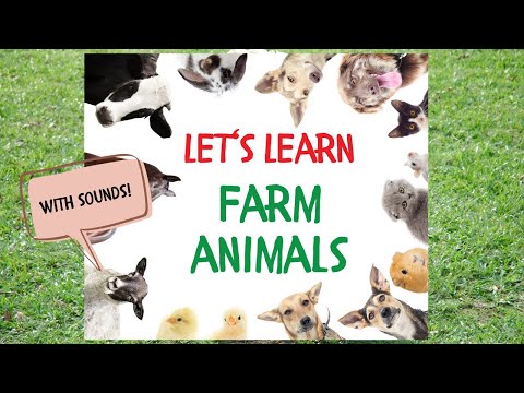 Let‘s Learn Farm Animals! Fun Toddler Daily Learning Activities and Preschool Fun!