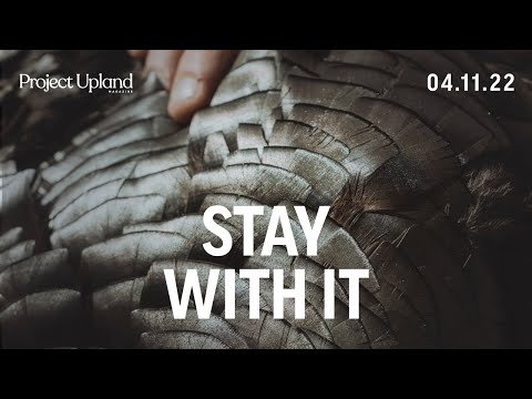 Stay With It - A Youth Turkey Hunting Video for Merriam's