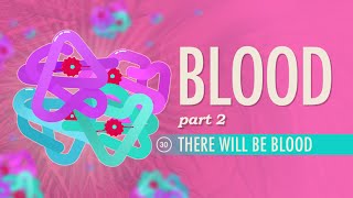 Blood, Part 2 - There Will Be Blood: Crash Course Anatomy & Physiology #30