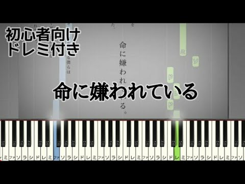 命に嫌われている。 【 初心者向け ドレミ付き 】 feat. 初音ミク  簡単ピアノ ピアノ 簡単