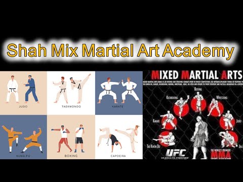 MMA Fighters Shah Mixed Martial Art Karate Academy Karachi Manzoor Colony (CEO Muhib khan)