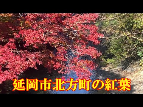 宮崎県延岡市北方町の紅葉　撮影日R6.12.4