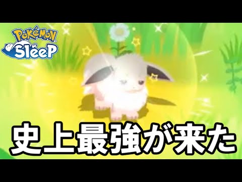 神の子を引きました・・・。【ポケモンスリープ】