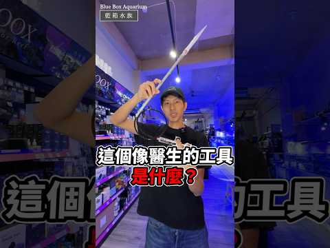 【藍箱水族】把針筒插到魚缸裡?!超好用的怪東西~兩隻小魚 餵食器