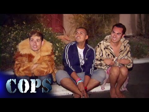 Suspicious Trio in Palm Springs Caught with Meth | Cops TV Show