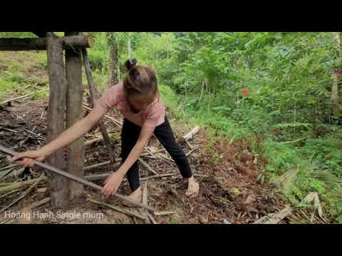 TIME LAPSE: 1 Year of enjoying bamboo house life. bamboo house building