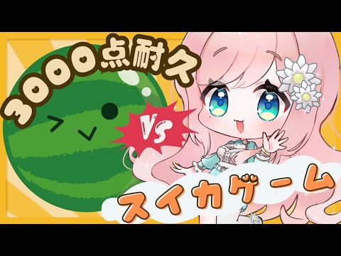 【スイカゲーム】3000点の景色、見せてやるよ【新人Vtuber】