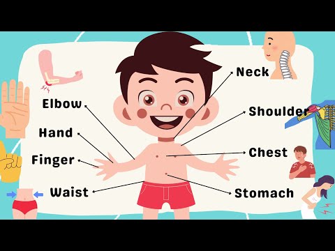 Parts Of My Body Illustrated Education Video #Meet Your Body: A Fun Tour of All the Parts!